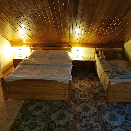 Homestay Aleks *